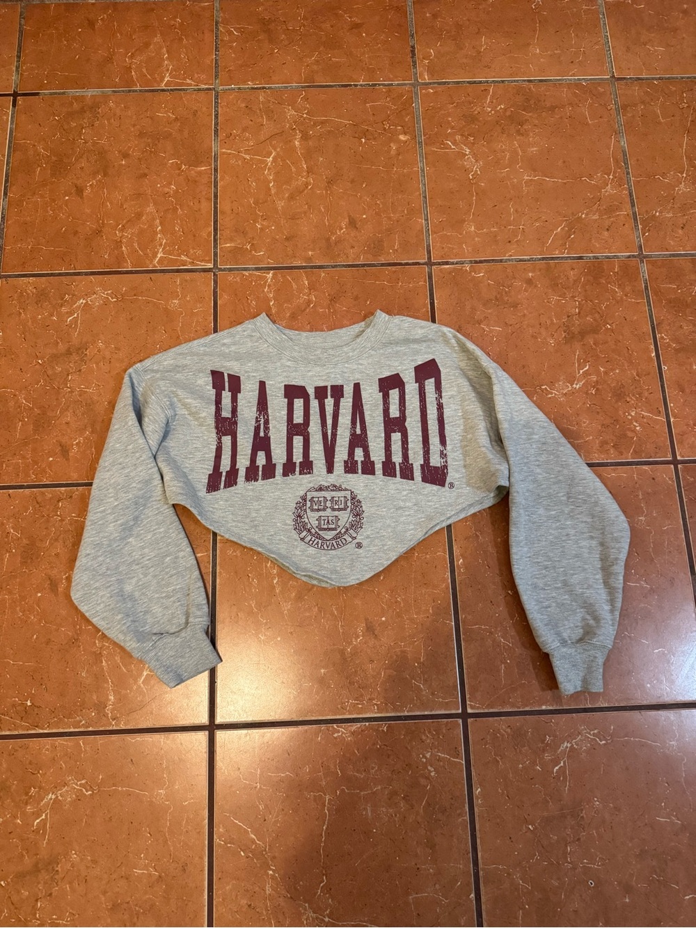 Harvard Cropped Crewneck Sweatshirt Gray Size S